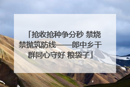 抢收抢种争分秒 禁烧禁抛筑防线——郎中乡干群同心守好 粮袋子