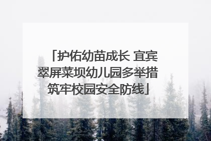 护佑幼苗成长 宜宾翠屏菜坝幼儿园多举措筑牢校园安全防线