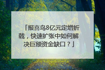 报喜鸟8亿元定增折戟，快速扩张中如何解决巨额资金缺口？