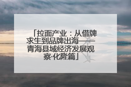 拉面产业：从借牌求生到品牌出海——青海县域经济发展观察·化隆篇