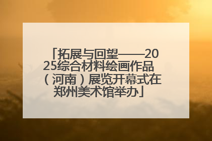 拓展与回望——2025综合材料绘画作品（河南）展览开幕式在郑州美术馆举办
