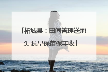 柘城县：田间管理送地头 抗旱保苗保丰收