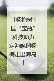 杨梅树上挂“宝瓶” 科技助力定海晚稻杨梅走出海岛