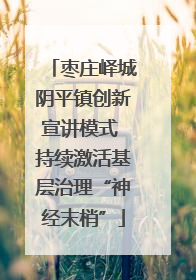 枣庄峄城阴平镇创新宣讲模式 持续激活基层治理“神经末梢”