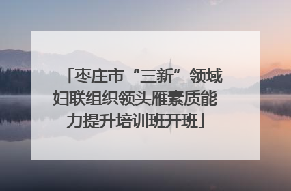 枣庄市“三新”领域妇联组织领头雁素质能力提升培训班开班