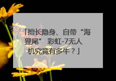 擅长隐身、自带“海狸尾” 彩虹-7无人机究竟有多牛？