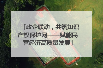 政企联动，共筑知识产权保护网——赋能民营经济高质量发展