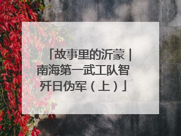 故事里的沂蒙｜南海第一武工队智歼日伪军（上）