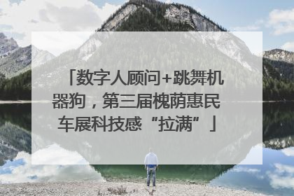 数字人顾问+跳舞机器狗，第三届槐荫惠民车展科技感“拉满”