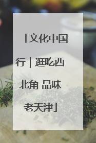 文化中国行｜逛吃西北角 品味老天津