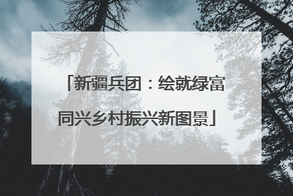 新疆兵团：绘就绿富同兴乡村振兴新图景