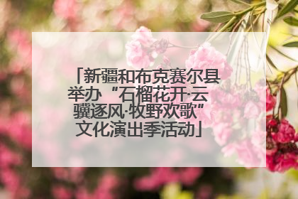新疆和布克赛尔县举办“石榴花开·云骥逐风·牧野欢歌”文化演出季活动