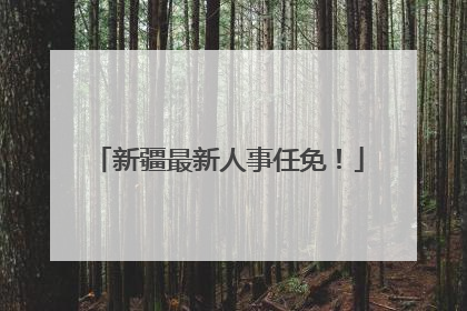 新疆最新人事任免！