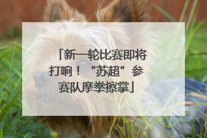 新一轮比赛即将打响！“苏超”参赛队摩拳擦掌