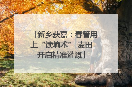 新乡获嘉：春管用上“读墒术” 麦田开启精准灌溉