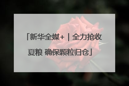 新华全媒+｜全力抢收夏粮 确保颗粒归仓