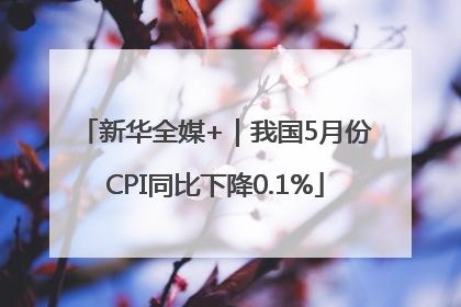 新华全媒+｜我国5月份CPI同比下降0.1%