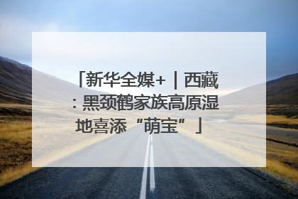 新华全媒+｜西藏：黑颈鹤家族高原湿地喜添“萌宝”