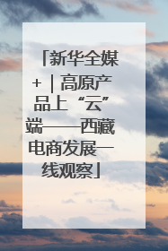 新华全媒+｜高原产品上“云”端——西藏电商发展一线观察