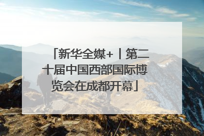 新华全媒+丨第二十届中国西部国际博览会在成都开幕