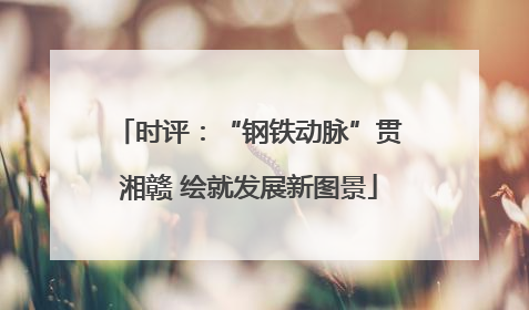 时评：“钢铁动脉”贯湘赣 绘就发展新图景