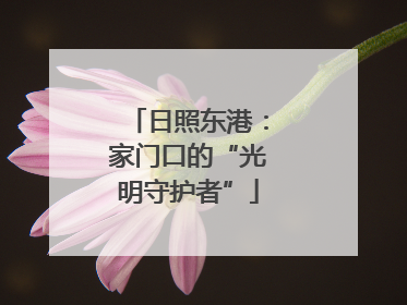 日照东港：家门口的“光明守护者”
