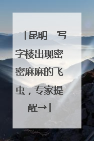 昆明一写字楼出现密密麻麻的飞虫，专家提醒→