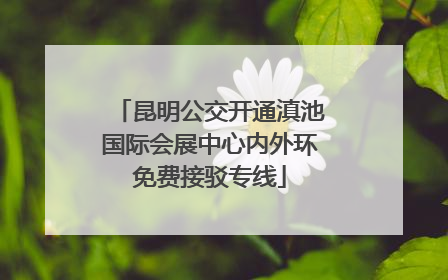 昆明公交开通滇池国际会展中心内外环免费接驳专线