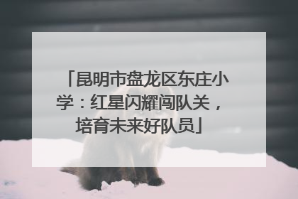 昆明市盘龙区东庄小学：红星闪耀闯队关，培育未来好队员