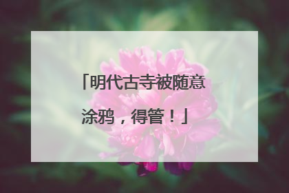 明代古寺被随意涂鸦，得管！