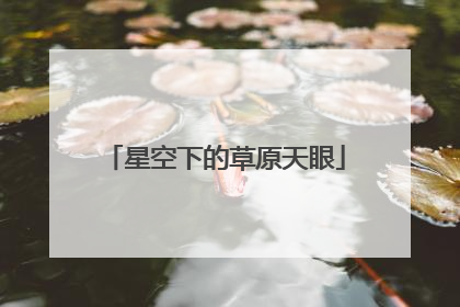 星空下的草原天眼