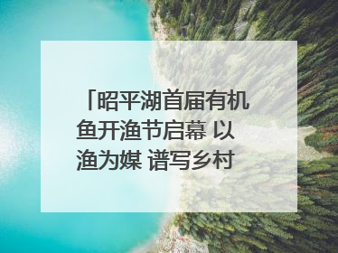 昭平湖首届有机鱼开渔节启幕 以渔为媒 谱写乡村振兴新篇章