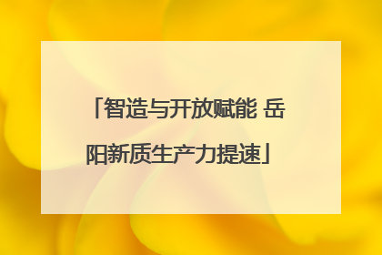 智造与开放赋能 岳阳新质生产力提速