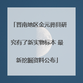 晋南地区金元葬具研究有了新实物标本 最新挖掘资料公布