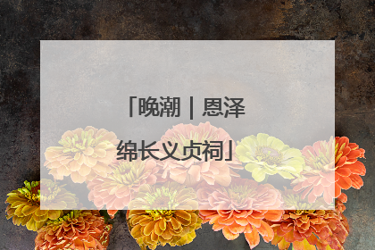 晚潮｜恩泽绵长义贞祠