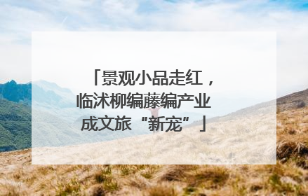 景观小品走红，临沭柳编藤编产业成文旅“新宠”