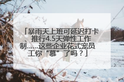 暴雨天上班可延迟打卡、推行4.5天弹性工作制……这些企业花式宠员工你“慕”了吗？