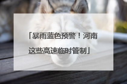 暴雨蓝色预警！河南这些高速临时管制