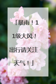 暴雨！11级大风！出行请关注天气！