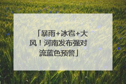 暴雨+冰雹+大风！河南发布强对流蓝色预警