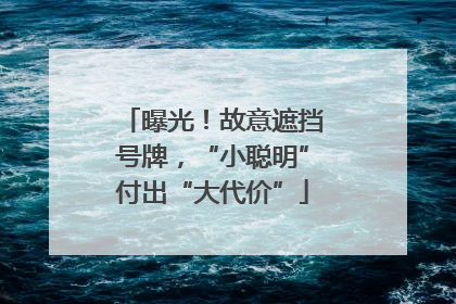 曝光！故意遮挡号牌，“小聪明”付出“大代价”