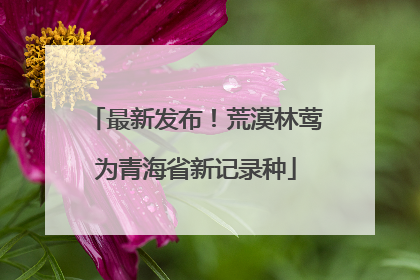 最新发布！荒漠林莺为青海省新记录种