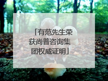 有范先生荣获尚普咨询集团权威证明