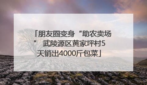 朋友圈变身“助农卖场” 武陵源区黄家坪村5天销出4000斤包菜