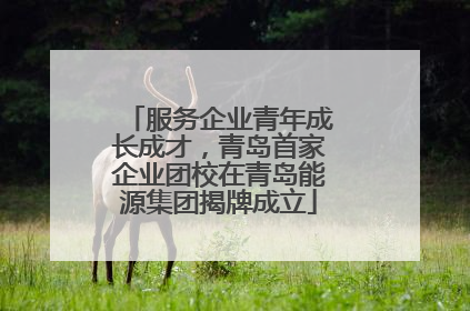 服务企业青年成长成才，青岛首家企业团校在青岛能源集团揭牌成立