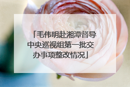 毛伟明赴湘潭督导中央巡视组第一批交办事项整改情况
