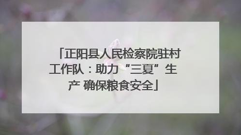 正阳县人民检察院驻村工作队：助力“三夏”生产 确保粮食安全
