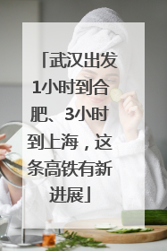 武汉出发1小时到合肥、3小时到上海，这条高铁有新进展