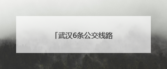 武汉6条公交线路挂“礼让牌”上线