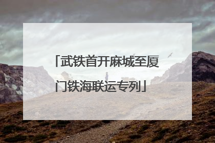 武铁首开麻城至厦门铁海联运专列